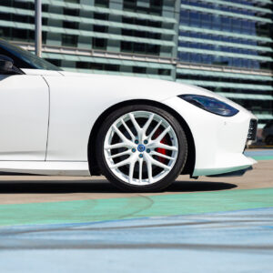 White-Z (Copy)